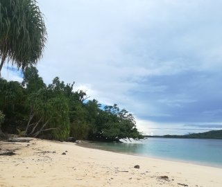 Year Round Fares