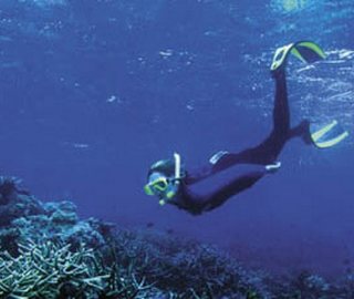 Snorkelling and Diving in Munda