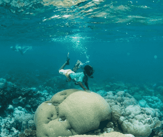 Snorkelling in Suavanao