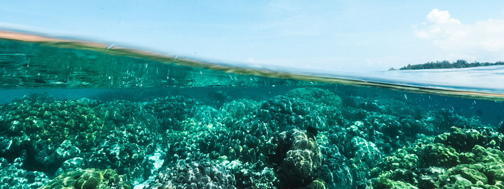 Honiara to Port Moresby Fares