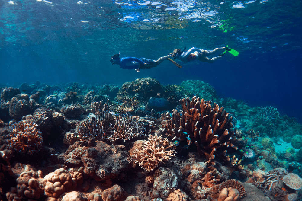 Diving Solomon Islands
