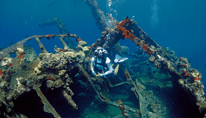 solomon islands diving web